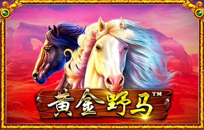 ky体育登陆官网